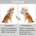 WinMany Adjustable Inflatable Dog & Cat Recovery Collar - Protective Cone for Post-Op Care (Gray Size S) - Prevent Scratching & Comfort - Buy Online on GoSupps.com
