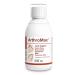 PETS Dolfos ArthroMax 250ml Liquid Joint Supplement for Cats and Dogs