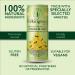 Folkingtons Gently Sparkling Lemon & Mint Presse - 12 x 250ml cans Lemon & Mint Press  - Buy Online on GoSupps.com
