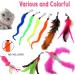 Petnice 12 Pack Cat Feather Toys Interactive Cat Toys for Indoor Cat 2 Cat Retractable Teaser Wand with 9Pcs Refills and 1 Fix Teaser Wand 12pcs Cat Toys (3pcs wand) - Buy Online on GoSupps.com