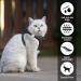 Shop Lollanda XS Black Cat Dishes with Leash | Adjustable Soft Kitten Vest with Reflective Strip - Perfect for Kittens! - Buy Online on GoSupps.com