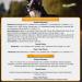 Bellfor Feeding Set for German Shorthair Grain-Free Chicken Dry Food 4 kg Dental Sticks 100 g and Food Additive for Skin and Coat Care 80 g - Buy Online on GoSupps.com