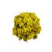 AgoraMarket Dried Helichrysum Immortelle Eternal Flowers 85g 195Kg 1950 grams