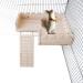 ROZKITCH Hamster Platform & Climbing Ladder Combo - Natural Pine Wood Toy for Small Pets & Birds - Buy Online on GoSupps.com