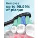 Sonic Electric Toothbrush for Adults & Kids - 8 Heads Wireless Charging Travel Case | Phylian H15 Sound Toothbrush - Buy Online on GoSupps.com