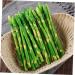 HOMSFOU 40 Pcs Simulated asparagus ornaments rustic decor plastic flower vase cabinet decor vegetable fruit ornament decorative vegetables lifelike Simulated Asparagus Models cupboard fake - Buy Online on GoSupps.com