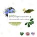 Organic Health Labs Max Intestinal Flow - Natural Colon Cleanse & Detox for Bowel Regulation | 60 Veggie Capsules - Buy Online on GoSupps.com