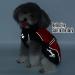 Zweitea Waterproof Raincoat for Medium & Large Dogs - Reflective Windproof Mesh Lining | Red 3XL - Perfect Outdoor & Hiking Clothing for Wet Days - Buy Online on GoSupps.com