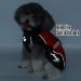 Zweitea Waterproof Raincoat for Medium & Large Dogs | Reflective Windproof Jacket for Outdoor Hiking | Red 6XL | Perfect Rain Protection for Wet Days - Buy Online on GoSupps.com