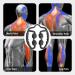Yadlcr Foam Muscle Massage Scooter - Deep Tissue Relief for Legs Thighs & Arms | Soothe Sore Muscles After Training - Buy Online on GoSupps.com