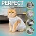 Avont Cat Recovery Suit - 2 Pieces Leak Protection Post-Op Clothing for Cat Wounds & Skin Diseases - Gray Small - Buy Online on GoSupps.com
