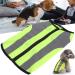 Reflective Dog Vest Safety Jacket for Night Use | Bright Green Zippered Warning Clothing for Pets - Buy Online on GoSupps.com