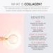 Alaya Multi Collagen Powder - Type I, II, III, V, X Hydrolyzed Collagen Peptides Protein Powder Supplement with MSM + GC (Raspberry Lemonade) - Buy Online on GoSupps.com