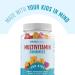Kids Multivitamin Gummies with Vitamins A B C D Zinc for Immunity & Growth | Daily Children's Multivitamins | Gluten-Free Non-GMO | 90 Gummies - Buy Online on GoSupps.com