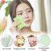 Green Tea Blotting Paper - 100 Sheets for Oily Skin, Oil Control Film for Sports & Travel - 6cm X 9cm - Buy Online on GoSupps.com