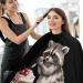 Raccoon and Cake Adult Barber Cape | Professional Hairdresser Cutting Apron for Men & Women Shop Now - Buy Online on GoSupps.com
