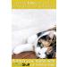 Cat Scratch Tape Furniture Protectors - Deterrent Training Tape for Couches, Doors & Furniture - Protects Against Anti Scratches - Ideal for Leather & Fabric - Extra Wide - Buy Online on GoSupps.com