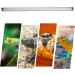 Buy Aiicioo T5 UVB Lighting Combo Kit for Reptiles - 54W Desert UVB Lamp & Terrarium Hood - Buy Online on GoSupps.com