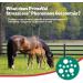 Primeval Stressless Pheromone Gel for Horses - Natural Soothing Supplement for Transport & Vet Visits (2 Packs) - Buy Online on GoSupps.com