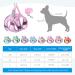 BriFit Cat Dishes with 150cm Leash - High Quality Breakfast Set for Cats & Small Dogs (Pink XS) - Perfect for Pets 6.61-1lb - Buy Online on GoSupps.com
