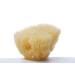 Aristos Premium Natural Bathing Sponge - 1 Year Durable Eco-Friendly Not Bleached - Greek Water Sponge 13-14cm - Plastic-Free Packaging - Buy Online on GoSupps.com