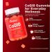 Goreta CoQ10 Gummies for Adults with Vitamin E Coenzyme Q10 250mg per Serving, Sugar-Free Chewable Gummies, Natural Orange Flavor, 60 Count - Buy Online on GoSupps.com