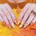 Whaline Fall Halloween Nail Art Stamping Plate Kit - Set of 6 Pumpkin Ghost & Plaid Designs for DIY Manicure | Perfect for Autumn & Thanksgiving - Buy Online on GoSupps.com