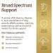 Solgar B-Complex with Vitamin C Stress Formula 250 Tablets - Energy, Nervous System, Immune Support - Non-GMO, Vegan, Gluten Free - 125 Servings - Buy Online on GoSupps.com