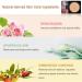 NUIBO Air Cushion CC Cream with Mushroom Head | Moisturizing Concealer Makeup Base | Primer Liquid Foundation Long Lasting | Includes Two Mushroom Makeup Sponges | Natural Screw Lid - Buy Online on GoSupps.com