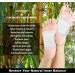 Hubbering Kinoki 5-Day Detox Footpads for Overall Wellness - Buy Online on GoSupps.com