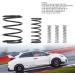 Fast Shifter Centering High Performance Gear Selector Detent Spring Combo for Honda Si | Peak Performance Shifting Solutions - Buy Online on GoSupps.com