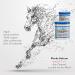 Buy Cristinenmoor Horse Balm with Devil Claw 2 in 1 - 200ml | Original Cooling Ointment for Humans - Extra Strong Muscle & Joint Care with Rosemary - Buy Online on GoSupps.com
