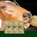 M hldorfer HeuGaudi Natur 1 kg - 100% Natural Snacking Fun with Exclusive Hanging Rope - International Shipping Available - Buy Online on GoSupps.com