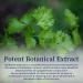 BioPure Cilantro Herbal Tincture - Immune Detox Support - 4 fl oz - Buy Online on GoSupps.com