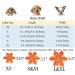 Buy Aring Pet Autumn Dog Collar - Adjustable Yellow & Orange Flower Design for Small to X-Large Dogs - Perfect for Fall - Buy Online on GoSupps.com