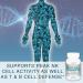Lane Innovative Noxylane4 Double Strength Immune Support Booster (50 Capsules) - Buy Online on GoSupps.com