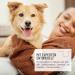 Reavet Care Cloths for Dogs & Cats - XXL Hypoallergenic Wet Wipes 100 Tearproof Cleaning Towels for Paws Eyes & Ears - 1 Pack - Buy Online on GoSupps.com