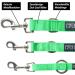 Shop Kuri Pai 3m Comfortable Dog Leash for Small Dogs - Eco-Friendly Bamboo Double Linen Green | Perfect Rehabilitation Leash (S 1.5cm Wide) - Buy Online on GoSupps.com