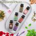 Rose Lavender Sandalwood Lotus Peppermint Coconut Essential Oils Set 100% Pure Natural Fragrance Oil Gift kit for Diffuser Home Care Candle Making Aromatherapy Humidifiers 6PCS - 01 20.00 ml (Pack of 3) - Buy Online on GoSupps.com