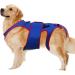 Dog Back Brace - Dog Hip Rehabilitation Gear Pet Spine Support Clothing Waist | Waist Protection Support Garment with Reflective Strips Relief Auxiliary Belt for Dogs (26x48 Cm) Xl - Buy Online on GoSupps.com