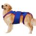 GUANGLU Small Dog Back Brace Spinal Support Dogs Back Brace Helps Small Dogs - D-Ring and Reflective Strips Back Protector Support Helps Hurt Relief Dogs Back