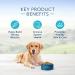 Buy Blue Buffalo Life Protection Formula Natural Adult Dry Dog Food - Premium Nutrition for Your Dog - Buy Online on GoSupps.com