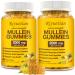 Mullein Gummies 2000mg Organic Mullein Leaf Extract for Clear Lungs Boost Respiratory & Digestive Immune Booster for Adults & Kids Allergy Friendly Non-GMO 120 Gummies 60 Count (Pack of 2)