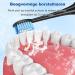 REDTRON replacement brush heads for Philips Pro Results 8 pieces replacement brush heads for FlexCare ProtectiveClean HealthyWhite EasyClean and PowerUp black 8 Black and blue - Buy Online on GoSupps.com