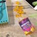 Nature's Nutrition Daily Probiotic Gummies - Extra Strength 5 Billion CFU for Digestive Health & Immune Support - 60 Gummies, Natural Orange Flavor - Gluten Free & Non-GMO - Buy Online on GoSupps.com