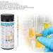 100pc Ketone Urine Test Strips - Accurate & Fast Ketones Level Monitoring - Buy Online on GoSupps.com