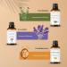 Buy Majestic Pure Essential Oils Set - 100% Pure 6 x 10ml (Peppermint Lavender Eucalyptus Tea Tree Lemongrass) for Diffusers Aromatherapy & Candles - International Shipping Available - Buy Online on GoSupps.com