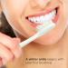 Anti-Bacterial Toothbrush for Adults - Expert Care Soft Bristles 4 Count Pack | Keeps Filament Surface Clean - Buy Online on GoSupps.com
