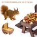 Creechwa Wooden Squirrel Feeder Picnic Table with Umbrella and Corn Cob Holder - Outdoor Bird and Squirrel Feeding Station for Garden Trees, Brown - Buy Online on GoSupps.com