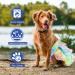 Hisprout Female Dog Skirt Diaper - Reusable Washable Durable Puppy Diapers (Large Mermaid) - International Shipping Available - Buy Online on GoSupps.com